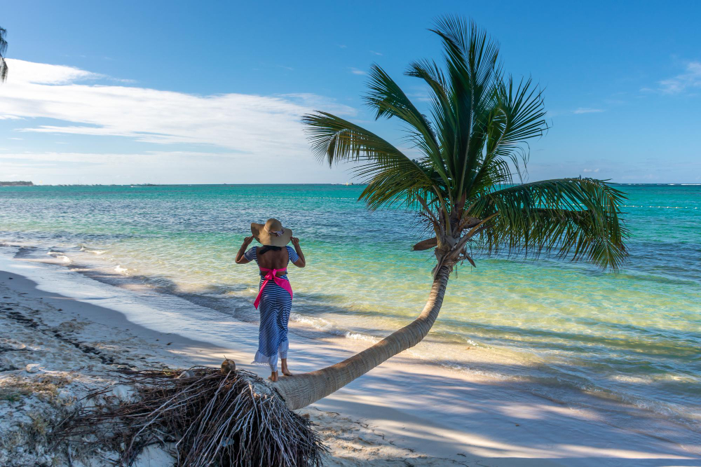 Isla Saona worth visiting guide