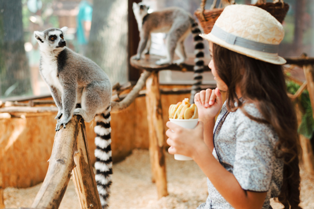Is Monkeyland Safe for Kids A Family Guide to Punta Cana
