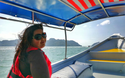¿Qué está incluido en un barco de fiesta?