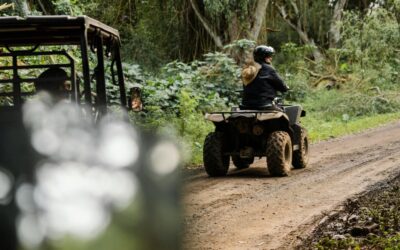 What Happens on the Macao Buggy Tour?