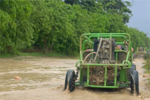 Macao Buggies
