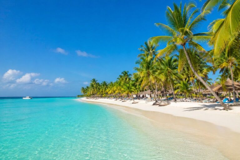 Saona Island